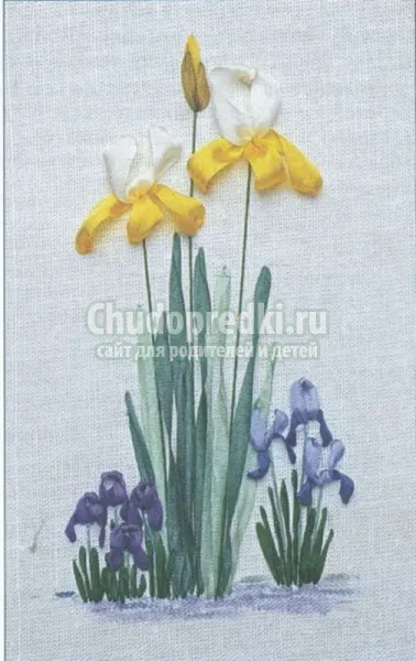 Вишивка стрічками (іриси майстер клас) Вишивка стрічками