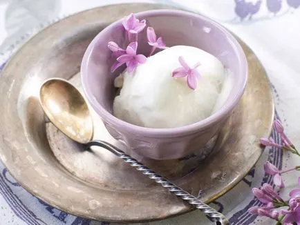 Egy finom recept házi készítésű fagylalt fagyasztó saját kezűleg, e-szor