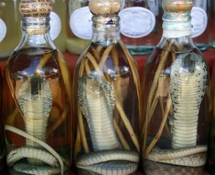 Vodka cu sarpe (vin de șarpe) - conceptul, în special tincturi