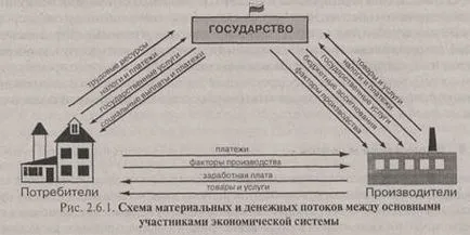 Szaporodás és szaporodási folyamat