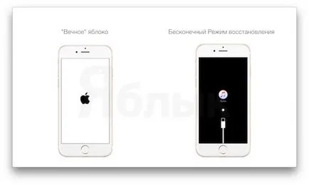 Restaurarea sau actualizarea ios pe iPhone și iPad - care este diferența, știri iPhone, iPad și Mac