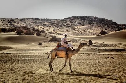 Tot ceea ce ai vrut să știi despre toridă Sahara