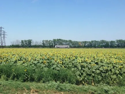 Én is elhagytam a történet Yeisk és együttműködik az Azovi-tenger part