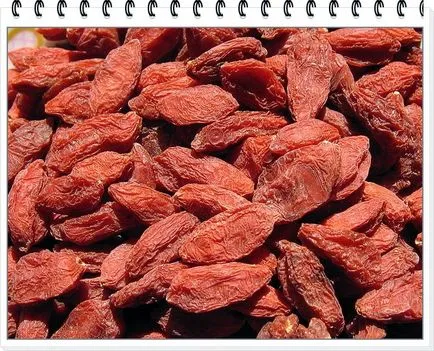 beneficii Goji Berry si proprietati de vindecare