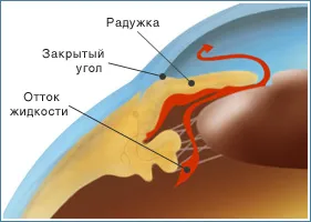 Заболявания на зрителната система