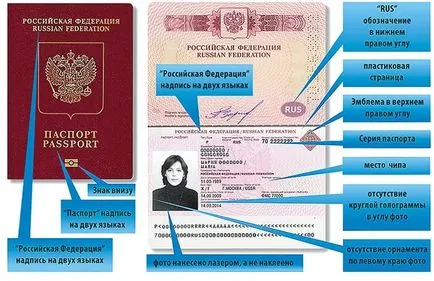 Паспорт на нова проба през 2017 г. колко струва, за една седмица, през обществени услуги е възможно на детето