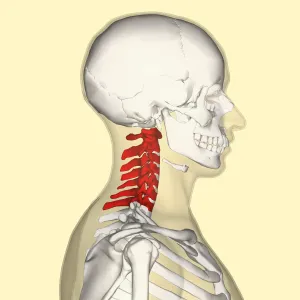 Ciupirea vertebră cervicală - simptome și tratament