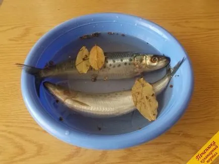 Sózás a hal Iwashi otthon (lépésről lépésre recept fotókkal)