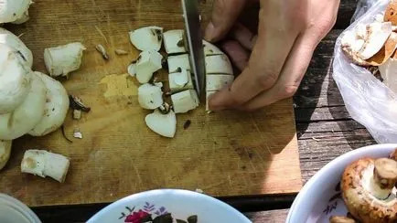 Friptura cu ciuperci în sos de smântână