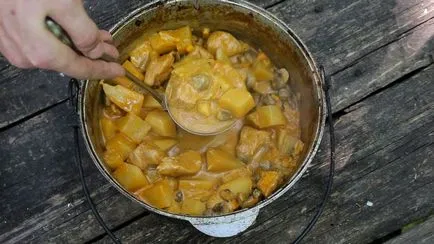 Friptura cu ciuperci în sos de smântână