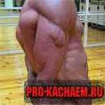 Apăsați în partea de jos în simulator de bloc, triceps - pro-Kach - bodybuilding pentru incepatori