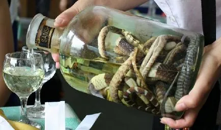 Zmeevka (bor vagy vodka, kígyó) - egzotikus ital keleti