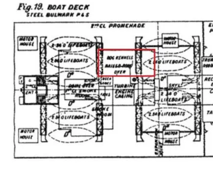 Animale pe „Titanic“ Anatomia - Titanic