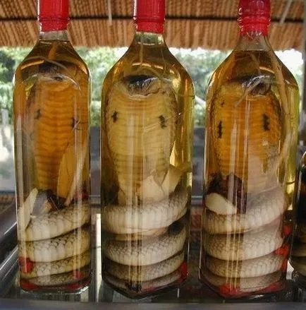 Zmeevka (вино или водка с змия) - екзотичен ликьор изток