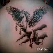 Înțeles pegasus tatuaj sens, fotografie istorie