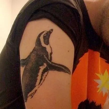 Înțeles tatuaj Penguin sensul tatuaj, fotografie