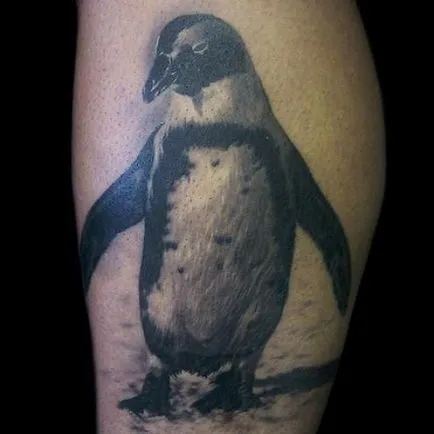 Jelentés tetoválás Penguin tetoválás jelentését, fotó