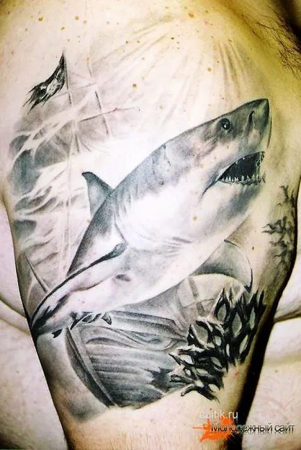 Стойността на татуировки от акула - татуировка снимки