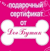 Аксесуари для собак