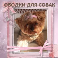 Аксесуари для собак