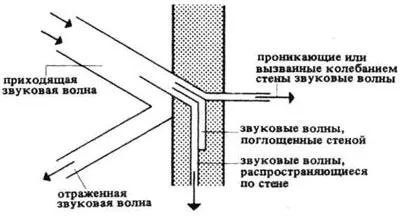 Acustică, arhitectura si design, director de afaceri