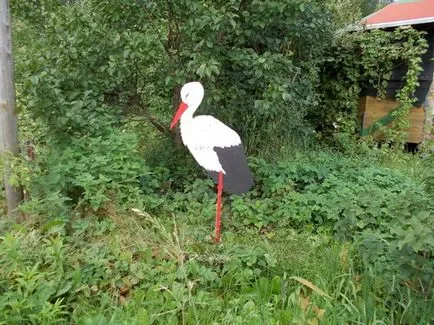 Stork lemez a kertben a kezüket fotó, videó