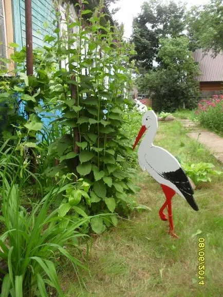 Stork lemez a kertben a kezüket fotó, videó