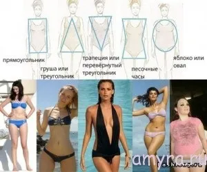 Як схуднути за типом фігури жіночі хитрощі (схуднути) Як схуднути за типом фігури жіночі хитрощі