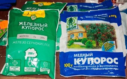 Як правильно застосовувати залізний купорос для захисту рослин - секрети садівників (купорос) Як правильно застосовувати залізний купорос для захисту рослин - секрети садівників