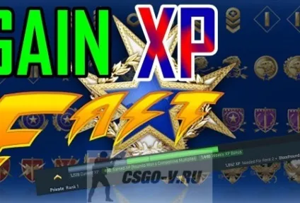 Як підвищити рівень в cs go - всі особливості private rank