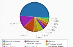 безсмъртие ръководство