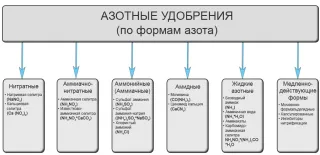 Азотни торове, позоваване