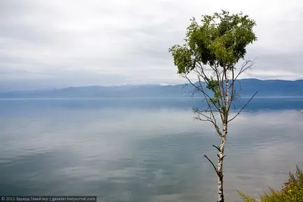 Baikal - lac bogat