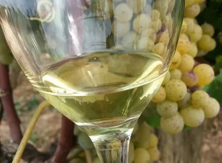 Vin alb „Sauterne“ - utilizarea culturii și cele mai bune mărci