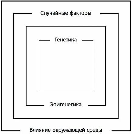 безсмъртие ръководство