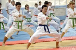 Martial Art Cum de a începe