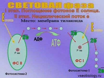Біологія для студентів - 01