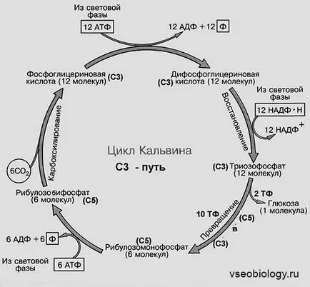 Біологія для студентів - 01