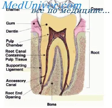 A betegek sebészeti Dentistry