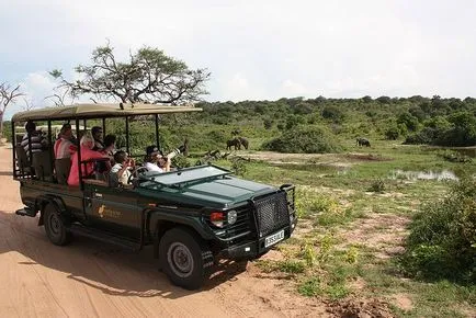 10 най-добри места за сафари в Африка