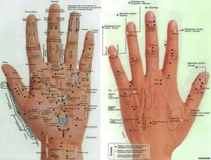 Активни точки и енергийните канали органи на ръка