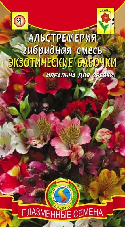 Alstroemeria екзотични пеперуда смес