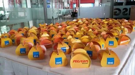 Pegasus Airlines Fly comentarii, flota