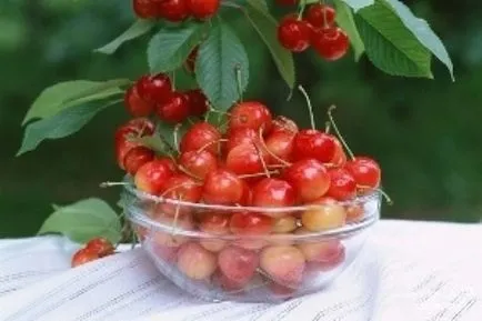 Cherry comentarii slăbire, Cherry rețete meniu dietetic