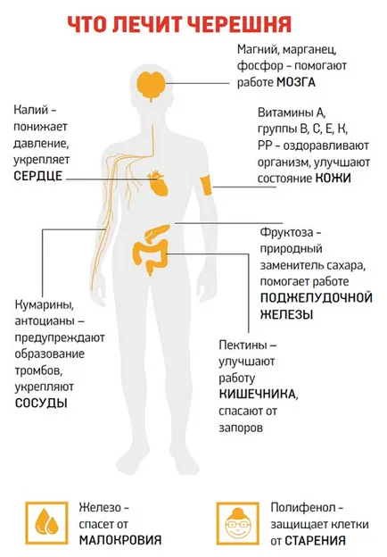 Чери мнения за отслабване, рецепти диетично меню череши