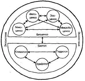 Biogeocoenosis és biocönózissal