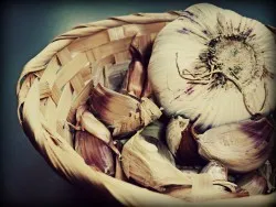 Usturoiul coaja - proprietăți utile și contraindicații