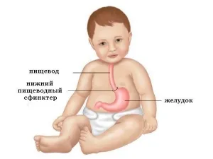 Какво става, ако бебето плюе нагоре фонтан