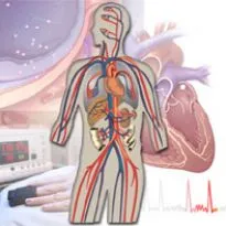 Diagnosticul și prevenirea bolilor cardiovasculare