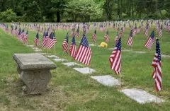 Memorial Day în SUA - 29 mai